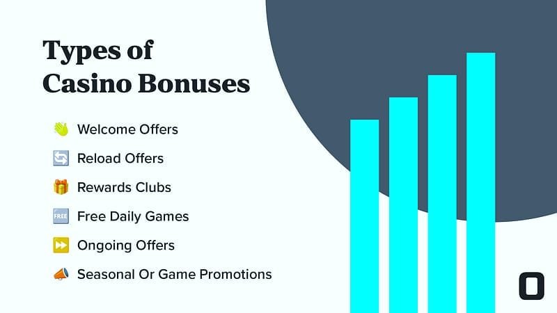 Spinorhino kompletter Leitfaden – Anmeldung bei Spinorhino: die vier Schritte